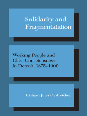 cover image of Solidarity and Fragmentation